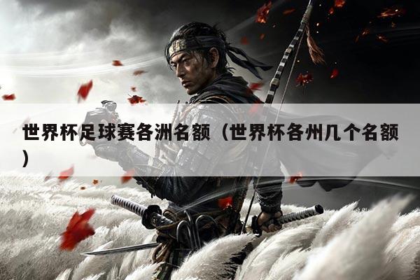 世界杯足球赛各洲名额（世界杯各州几个名额）