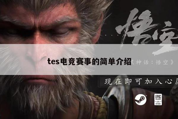 tes电竞赛事的简单介绍