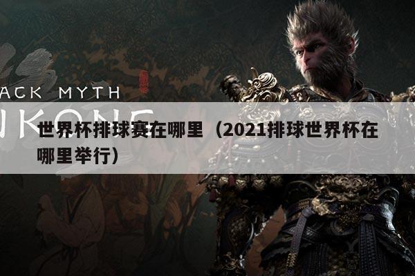 世界杯排球赛在哪里(2021排球世界杯在哪里举行)