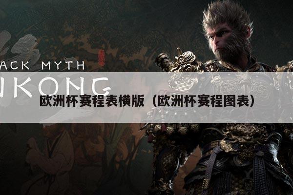 欧洲杯赛程表横版（欧洲杯赛程图表）