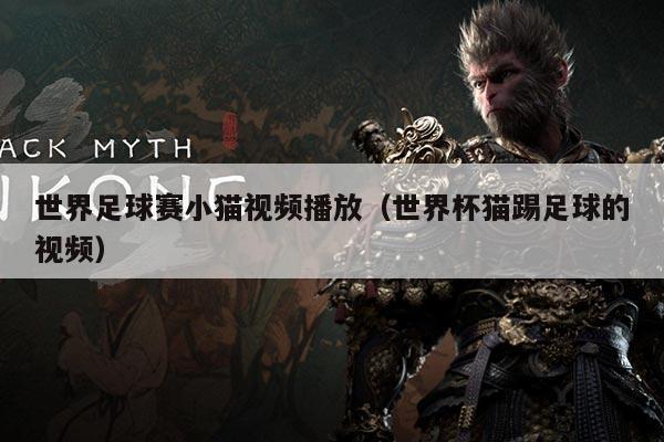世界足球赛小猫视频播放（世界杯猫踢足球的视频）