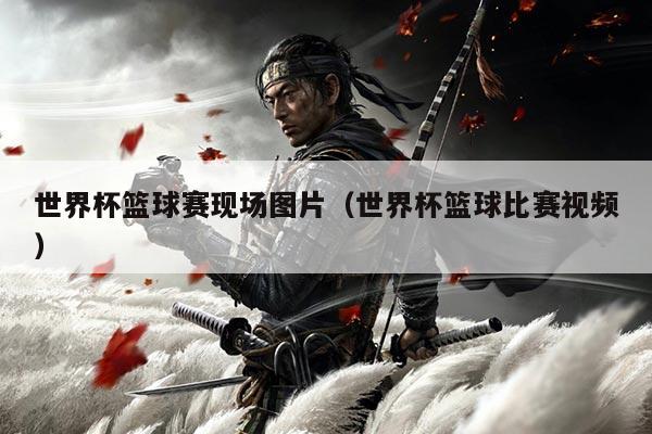 世界杯篮球赛现场图片(世界杯篮球比赛视频)