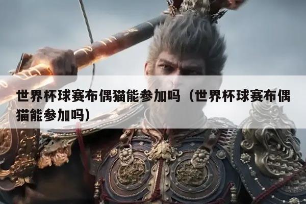 世界杯球赛布偶猫能参加吗(世界杯球赛布偶猫能参加吗)