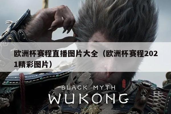 欧洲杯赛程直播图片大全(欧洲杯赛程2021精彩图片)