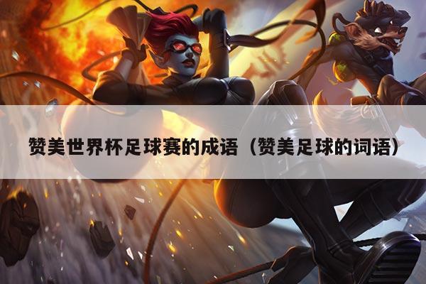 赞美世界杯足球赛的成语(赞美足球的词语)