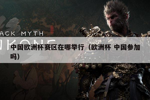 中国欧洲杯赛区在哪举行(欧洲杯 中国参加吗)