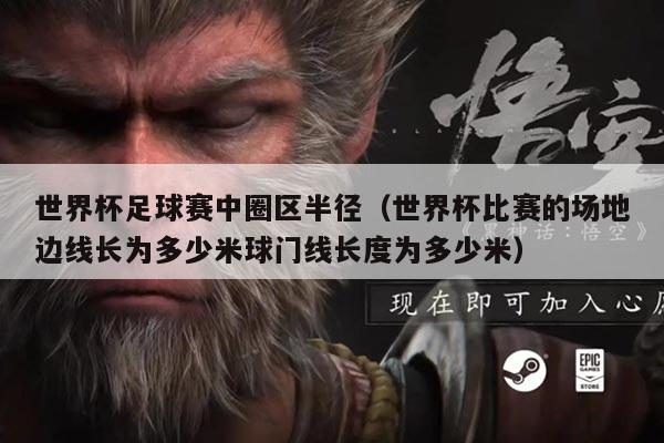 世界杯足球赛中圈区半径(世界杯比赛的场地边线长为多少米球门线长度为多少米)