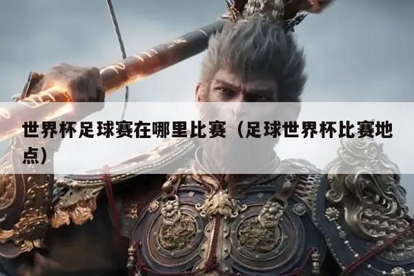 世界杯足球赛在哪里比赛(足球世界杯比赛地点)