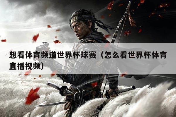 想看体育频道世界杯球赛(怎么看世界杯体育直播视频)