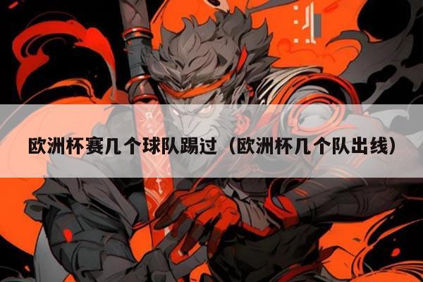 欧洲杯赛几个球队踢过(欧洲杯几个队出线)