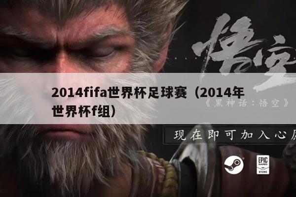 2014fifa世界杯足球赛(2014年世界杯f组)