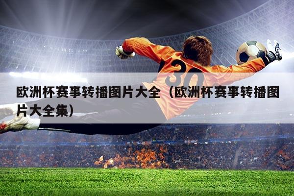 欧洲杯赛事转播图片大全(欧洲杯赛事转播图片大全集)