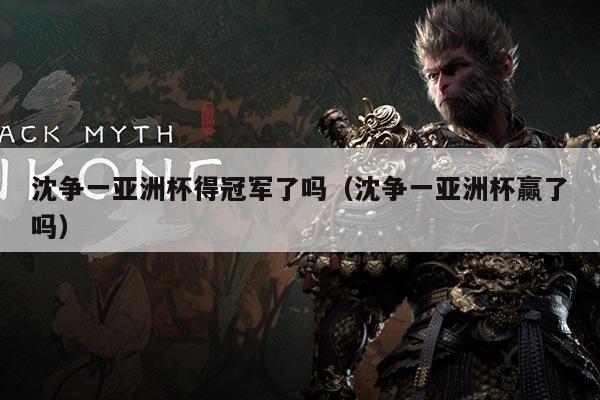 沈争一亚洲杯得冠军了吗(沈争一亚洲杯赢了吗)