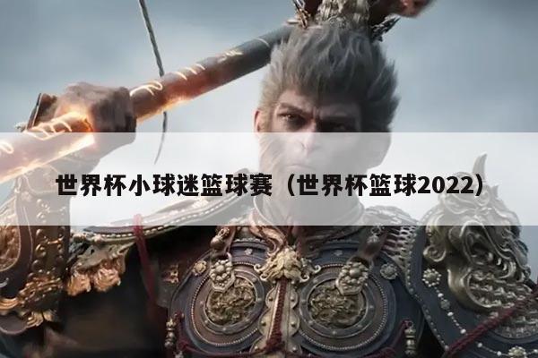 世界杯小球迷篮球赛(世界杯篮球2022)
