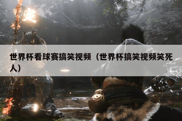 世界杯看球赛搞笑视频(世界杯搞笑视频笑死人)