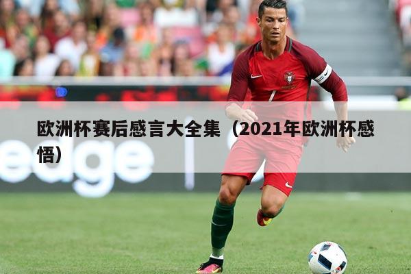 欧洲杯赛后感言大全集(2021年欧洲杯感悟)