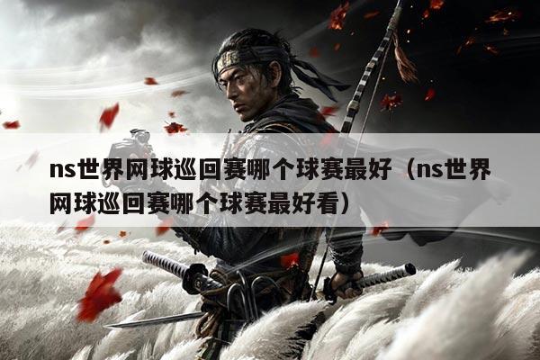 ns世界网球巡回赛哪个球赛最好(ns世界网球巡回赛哪个球赛最好看)