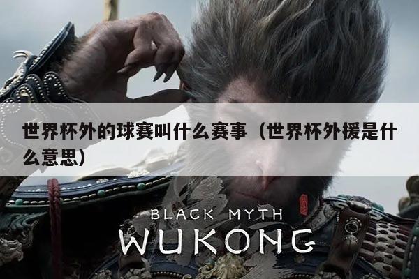 世界杯外的球赛叫什么赛事(世界杯外援是什么意思)