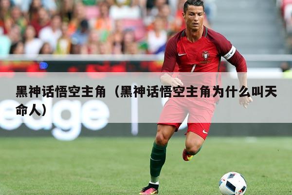 黑神话悟空主角(黑神话悟空主角为什么叫天命人)