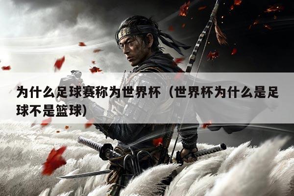 为什么足球赛称为世界杯(世界杯为什么是足球不是篮球)