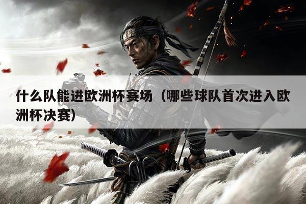 什么队能进欧洲杯赛场(哪些球队首次进入欧洲杯决赛)