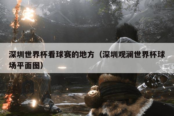 深圳世界杯看球赛的地方(深圳观澜世界杯球场平面图)