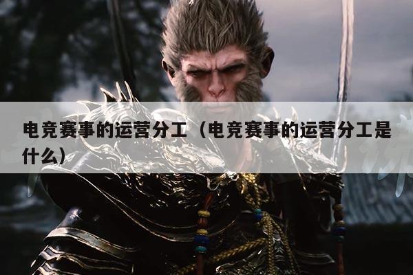 电竞赛事的运营分工(电竞赛事的运营分工是什么)