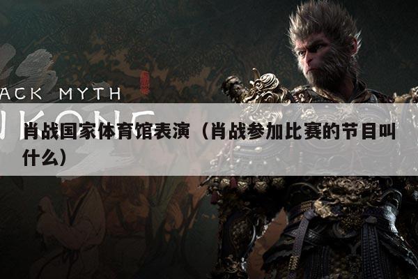 肖战国家体育馆表演(肖战参加比赛的节目叫什么)