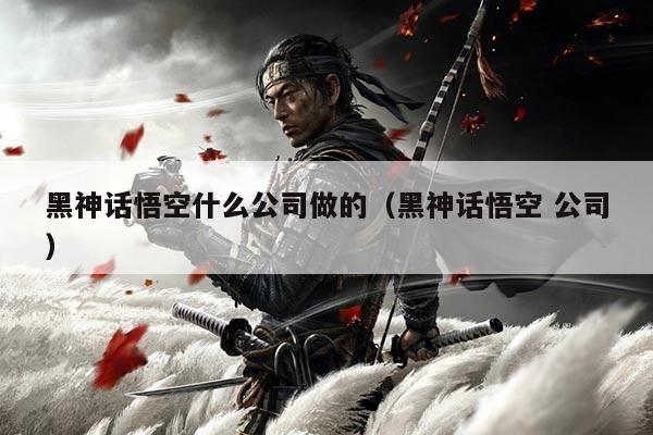 黑神话悟空什么公司做的(黑神话悟空 公司)