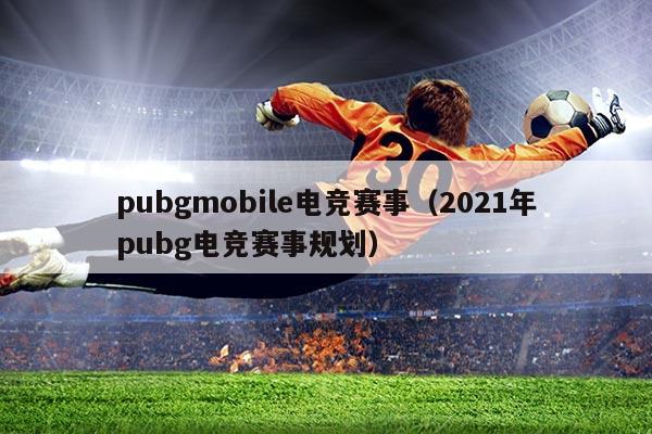 pubgmobile电竞赛事(2021年pubg电竞赛事规划)