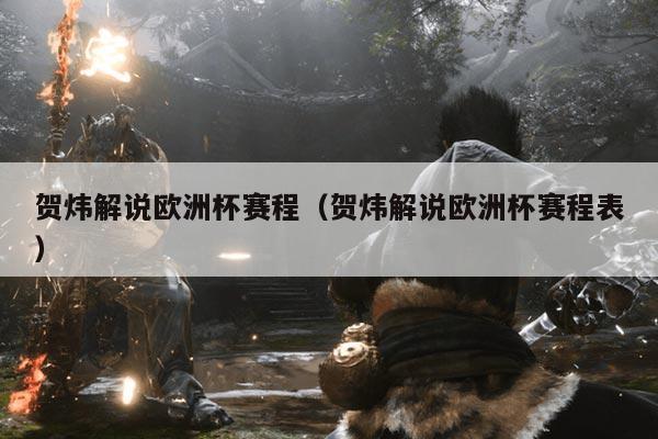 贺炜解说欧洲杯赛程(贺炜解说欧洲杯赛程表)