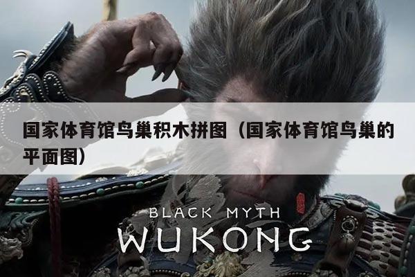 国家体育馆鸟巢积木拼图(国家体育馆鸟巢的平面图)