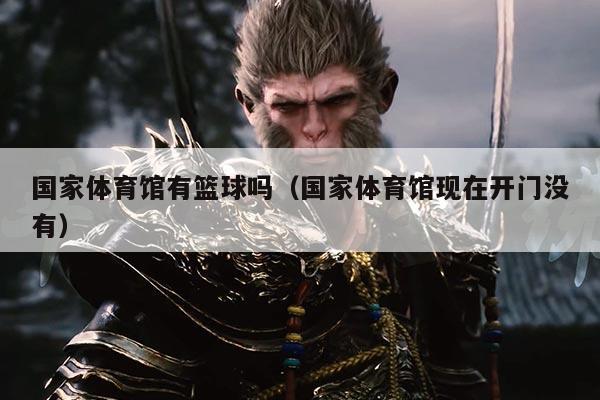 国家体育馆有篮球吗(国家体育馆现在开门没有)