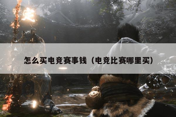 怎么买电竞赛事钱(电竞比赛哪里买)