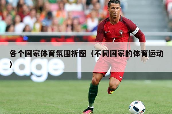 各个国家体育氛围析图(不同国家的体育运动)