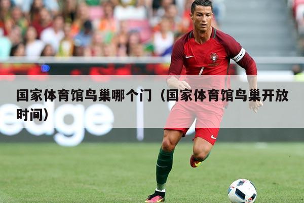 国家体育馆鸟巢哪个门(国家体育馆鸟巢开放时间)