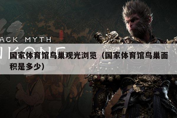 国家体育馆鸟巢观光浏览（国家体育馆鸟巢面积是多少）