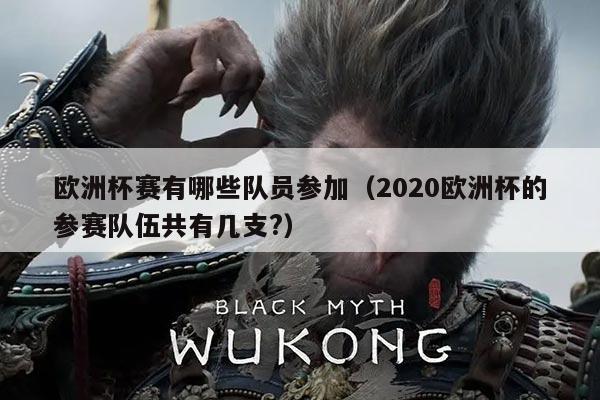 欧洲杯赛有哪些队员参加(2020欧洲杯的参赛队伍共有几支?)
