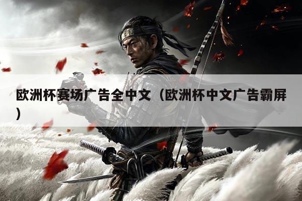 欧洲杯赛场广告全中文(欧洲杯中文广告霸屏)