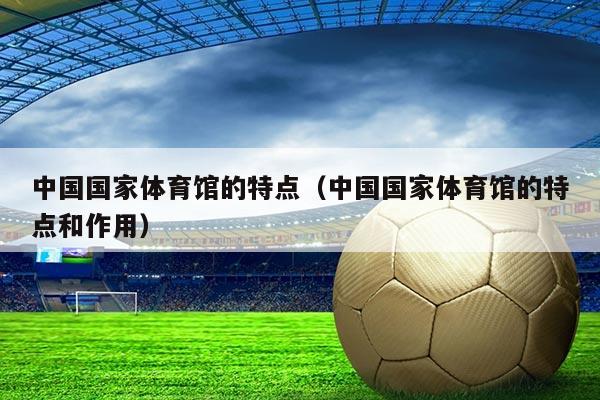 中国国家体育馆的特点(中国国家体育馆的特点和作用)