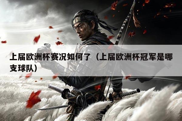 上届欧洲杯赛况如何了(上届欧洲杯冠军是哪支球队)