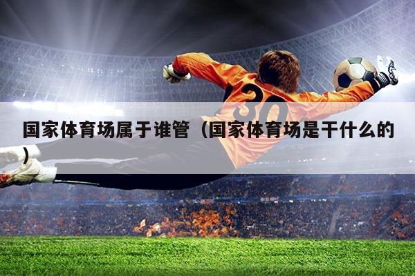 国家体育场属于谁管(国家体育场是干什么的)