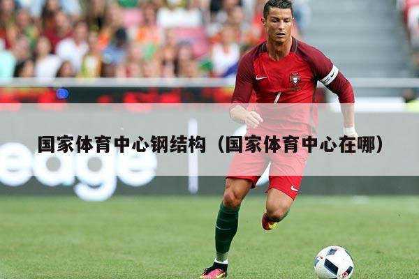 国家体育中心钢结构(国家体育中心在哪)