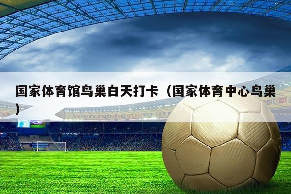 国家体育馆鸟巢白天打卡(国家体育中心鸟巢)