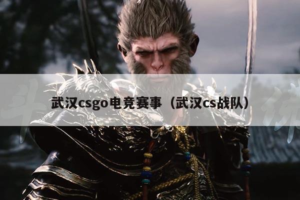 武汉csgo电竞赛事(武汉cs战队)