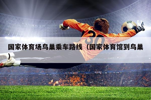 国家体育场鸟巢乘车路线(国家体育馆到鸟巢)