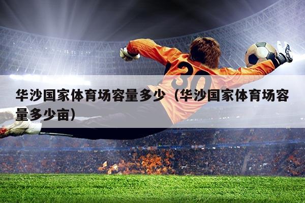 华沙国家体育场容量多少(华沙国家体育场容量多少亩)