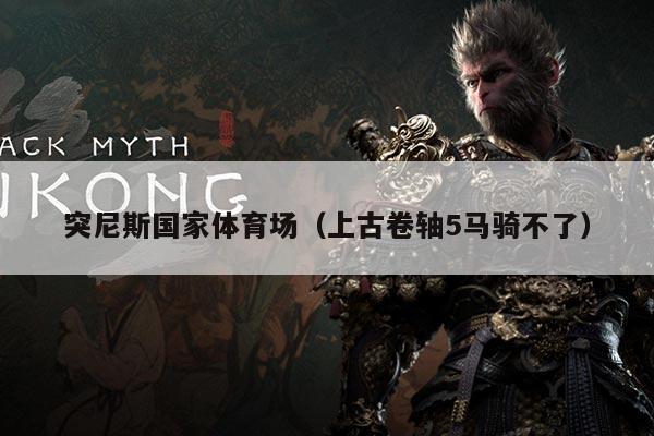 突尼斯国家体育场(上古卷轴5马骑不了)