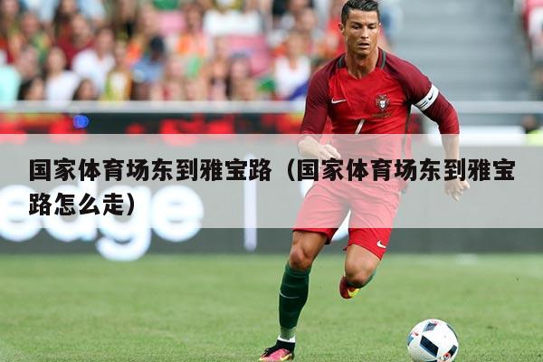 国家体育场东到雅宝路(国家体育场东到雅宝路怎么走)