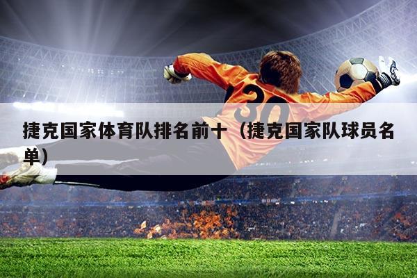 捷克国家体育队排名前十(捷克国家队球员名单)